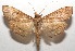  ( - 18-SRNP-100227)  @13 [ ] CreativeCommons  Attribution Non-Commercial Share-Alike (2019) Daniel H. Janzen Guanacaste Dry Forest Conservation Fund