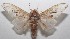  ( - 18-SRNP-100287)  @14 [ ] CreativeCommons  Attribution Non-Commercial Share-Alike (2019) Daniel H. Janzen Guanacaste Dry Forest Conservation Fund