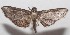  ( - 18-SRNP-100304)  @11 [ ] CreativeCommons  Attribution Non-Commercial Share-Alike (2019) Daniel H. Janzen Guanacaste Dry Forest Conservation Fund