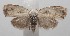  ( - 18-SRNP-100347)  @13 [ ] CreativeCommons  Attribution Non-Commercial Share-Alike (2019) Daniel H. Janzen Guanacaste Dry Forest Conservation Fund