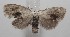  ( - 18-SRNP-100354)  @13 [ ] CreativeCommons  Attribution Non-Commercial Share-Alike (2019) Daniel H. Janzen Guanacaste Dry Forest Conservation Fund
