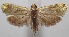 ( - 18-SRNP-100393)  @11 [ ] CreativeCommons  Attribution Non-Commercial Share-Alike (2019) Daniel H. Janzen Guanacaste Dry Forest Conservation Fund
