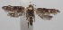  ( - 18-SRNP-100541)  @11 [ ] CreativeCommons  Attribution Non-Commercial Share-Alike (2019) Daniel H. Janzen Guanacaste Dry Forest Conservation Fund