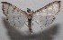  ( - 18-SRNP-100568)  @11 [ ] CreativeCommons  Attribution Non-Commercial Share-Alike (2019) Daniel H. Janzen Guanacaste Dry Forest Conservation Fund