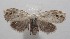  ( - 18-SRNP-100607)  @13 [ ] CreativeCommons  Attribution Non-Commercial Share-Alike (2019) Daniel H. Janzen Guanacaste Dry Forest Conservation Fund