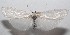  ( - 18-SRNP-100713)  @11 [ ] CreativeCommons  Attribution Non-Commercial Share-Alike (2019) Daniel H. Janzen Guanacaste Dry Forest Conservation Fund