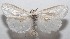  ( - 18-SRNP-100725)  @11 [ ] CreativeCommons  Attribution Non-Commercial Share-Alike (2019) Daniel H. Janzen Guanacaste Dry Forest Conservation Fund