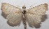  ( - 18-SRNP-100753)  @11 [ ] CreativeCommons  Attribution Non-Commercial Share-Alike (2019) Daniel H. Janzen Guanacaste Dry Forest Conservation Fund