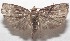  ( - 18-SRNP-100859)  @11 [ ] CreativeCommons  Attribution Non-Commercial Share-Alike (2019) Daniel H. Janzen Guanacaste Dry Forest Conservation Fund