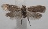  ( - 18-SRNP-100865)  @11 [ ] CreativeCommons  Attribution Non-Commercial Share-Alike (2019) Daniel H. Janzen Guanacaste Dry Forest Conservation Fund
