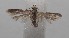  ( - 18-SRNP-100874)  @11 [ ] CreativeCommons  Attribution Non-Commercial Share-Alike (2019) Daniel H. Janzen Guanacaste Dry Forest Conservation Fund