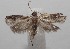  ( - 18-SRNP-100891)  @11 [ ] CreativeCommons  Attribution Non-Commercial Share-Alike (2019) Daniel H. Janzen Guanacaste Dry Forest Conservation Fund