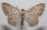  ( - 18-SRNP-100934)  @14 [ ] CreativeCommons  Attribution Non-Commercial Share-Alike (2019) Daniel H. Janzen Guanacaste Dry Forest Conservation Fund