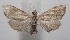  ( - 18-SRNP-100972)  @11 [ ] CreativeCommons  Attribution Non-Commercial Share-Alike (2019) Daniel H. Janzen Guanacaste Dry Forest Conservation Fund