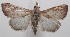  ( - 18-SRNP-100981)  @11 [ ] CreativeCommons  Attribution Non-Commercial Share-Alike (2019) Daniel H. Janzen Guanacaste Dry Forest Conservation Fund