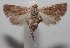  ( - 18-SRNP-100997)  @14 [ ] CreativeCommons  Attribution Non-Commercial Share-Alike (2019) Daniel H. Janzen Guanacaste Dry Forest Conservation Fund
