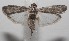  ( - 18-SRNP-101011)  @11 [ ] CreativeCommons  Attribution Non-Commercial Share-Alike (2019) Daniel H. Janzen Guanacaste Dry Forest Conservation Fund