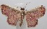  ( - 18-SRNP-101119)  @11 [ ] CreativeCommons  Attribution Non-Commercial Share-Alike (2019) Daniel H. Janzen Guanacaste Dry Forest Conservation Fund