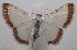 ( - 18-SRNP-101122)  @14 [ ] CreativeCommons  Attribution Non-Commercial Share-Alike (2019) Daniel H. Janzen Guanacaste Dry Forest Conservation Fund