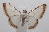  ( - 18-SRNP-101123)  @13 [ ] CreativeCommons  Attribution Non-Commercial Share-Alike (2019) Daniel H. Janzen Guanacaste Dry Forest Conservation Fund