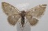  ( - 18-SRNP-101137)  @11 [ ] CreativeCommons  Attribution Non-Commercial Share-Alike (2019) Daniel H. Janzen Guanacaste Dry Forest Conservation Fund