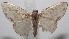  ( - 18-SRNP-101138)  @12 [ ] CreativeCommons  Attribution Non-Commercial Share-Alike (2019) Daniel H. Janzen Guanacaste Dry Forest Conservation Fund