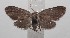  ( - 18-SRNP-101152)  @14 [ ] CreativeCommons  Attribution Non-Commercial Share-Alike (2019) Daniel H. Janzen Guanacaste Dry Forest Conservation Fund