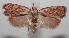  ( - 18-SRNP-101207)  @11 [ ] CreativeCommons  Attribution Non-Commercial Share-Alike (2019) Daniel H. Janzen Guanacaste Dry Forest Conservation Fund
