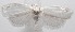  ( - 18-SRNP-101251)  @11 [ ] CreativeCommons  Attribution Non-Commercial Share-Alike (2019) Daniel H. Janzen Guanacaste Dry Forest Conservation Fund