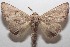  ( - 18-SRNP-101359)  @14 [ ] CreativeCommons  Attribution Non-Commercial Share-Alike (2019) Daniel H. Janzen Guanacaste Dry Forest Conservation Fund