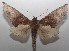  ( - 18-SRNP-101472)  @13 [ ] CreativeCommons  Attribution Non-Commercial Share-Alike (2019) Daniel H. Janzen Guanacaste Dry Forest Conservation Fund