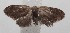  ( - 18-SRNP-101560)  @13 [ ] CreativeCommons  Attribution Non-Commercial Share-Alike (2019) Daniel H. Janzen Guanacaste Dry Forest Conservation Fund
