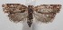  ( - 18-SRNP-101802)  @13 [ ] CreativeCommons  Attribution Non-Commercial Share-Alike (2019) Daniel H. Janzen Guanacaste Dry Forest Conservation Fund