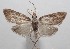  ( - 18-SRNP-101820)  @13 [ ] CreativeCommons  Attribution Non-Commercial Share-Alike (2019) Daniel H. Janzen Guanacaste Dry Forest Conservation Fund