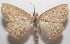  ( - 18-SRNP-101979)  @11 [ ] CreativeCommons  Attribution Non-Commercial Share-Alike (2019) Daniel H. Janzen Guanacaste Dry Forest Conservation Fund