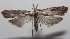  ( - 18-SRNP-102089)  @11 [ ] CreativeCommons  Attribution Non-Commercial Share-Alike (2019) Daniel H. Janzen Guanacaste Dry Forest Conservation Fund