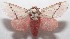  ( - 18-SRNP-102218)  @14 [ ] CreativeCommons  Attribution Non-Commercial Share-Alike (2019) Daniel H. Janzen Guanacaste Dry Forest Conservation Fund