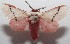  ( - 18-SRNP-102219)  @14 [ ] CreativeCommons  Attribution Non-Commercial Share-Alike (2019) Daniel H. Janzen Guanacaste Dry Forest Conservation Fund