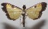  ( - 18-SRNP-102358)  @11 [ ] CreativeCommons  Attribution Non-Commercial Share-Alike (2019) Daniel H. Janzen Guanacaste Dry Forest Conservation Fund