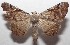  ( - 18-SRNP-102457)  @11 [ ] CreativeCommons  Attribution Non-Commercial Share-Alike (2019) Daniel H. Janzen Guanacaste Dry Forest Conservation Fund