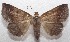  ( - 18-SRNP-102668)  @14 [ ] CreativeCommons  Attribution Non-Commercial Share-Alike (2019) Daniel H. Janzen Guanacaste Dry Forest Conservation Fund