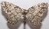  ( - 18-SRNP-102709)  @14 [ ] CreativeCommons  Attribution Non-Commercial Share-Alike (2019) Daniel H. Janzen Guanacaste Dry Forest Conservation Fund