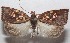  ( - 18-SRNP-102775)  @14 [ ] CreativeCommons  Attribution Non-Commercial Share-Alike (2019) Daniel H. Janzen Guanacaste Dry Forest Conservation Fund