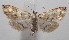  ( - 18-SRNP-102843)  @11 [ ] CreativeCommons  Attribution Non-Commercial Share-Alike (2019) Daniel H. Janzen Guanacaste Dry Forest Conservation Fund