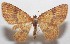  ( - 18-SRNP-102915)  @11 [ ] CreativeCommons  Attribution Non-Commercial Share-Alike (2019) Daniel H. Janzen Guanacaste Dry Forest Conservation Fund