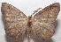  ( - 18-SRNP-103037)  @14 [ ] CreativeCommons  Attribution Non-Commercial Share-Alike (2019) Daniel H. Janzen Guanacaste Dry Forest Conservation Fund