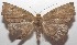  ( - 18-SRNP-103063)  @13 [ ] CreativeCommons  Attribution Non-Commercial Share-Alike (2019) Daniel H. Janzen Guanacaste Dry Forest Conservation Fund