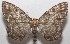  ( - 18-SRNP-103089)  @14 [ ] CreativeCommons  Attribution Non-Commercial Share-Alike (2019) Daniel H. Janzen Guanacaste Dry Forest Conservation Fund