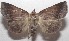  ( - 18-SRNP-103359)  @14 [ ] CreativeCommons  Attribution Non-Commercial Share-Alike (2019) Daniel H. Janzen Guanacaste Dry Forest Conservation Fund