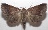  ( - 18-SRNP-103362)  @14 [ ] CreativeCommons  Attribution Non-Commercial Share-Alike (2019) Daniel H. Janzen Guanacaste Dry Forest Conservation Fund